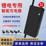 Lithium Battery Electric Car Charger 24V36V48V60V67.2V3A42V2A54.6V2A Trolley Balance Car
