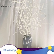 No Maintenance Branches Elegant Twisted Branches Artificial White Curly Willow Branches – Faux Decor