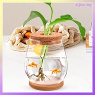 【in stock】  Glass Terrarium Plant with Stand Micro Propagation Station Coral Jar Aquarium Hydroponic Vase Bottle