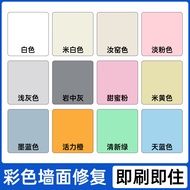 Taoyuan Ready Stock Diatom Mud Repair Cream With Color Beige Wall White Pink Putty Paint