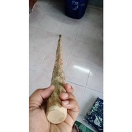 Tongkat Kayu Luz Rare