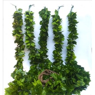 Bundle of 5 premium vines 2,2m long for store decoration
