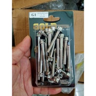Salaya Ex150 Ex155 Engine Block Screw Set 21 Full Engine Block