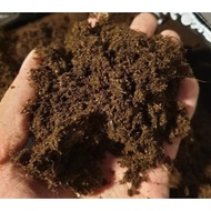 Peat Moss Fine Seedling Substrate 发芽泥炭土 (2L)