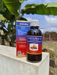 Obat Mata Merah Mata Merah Dan Gatal Mata Merah Iritasi Sakit Mata Konjungtivitis Mata Merah Berair