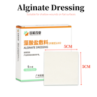 Alginate Dressing Hydrocolloid Adhesive Patch Bedulcer Patch Pressure Sore Patch Auxiliary Materials