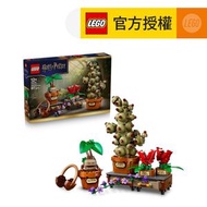 LEGO® Harry Potter™ 76474 霍格華茲藥草學植物 (魔蘋果,居家擺設,禮物,玩具)
