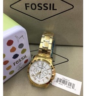 ♞Fossil Watch For Men Gold FS4814