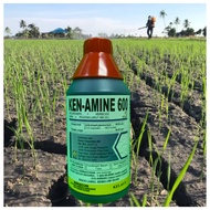[ORIGINAL] 1L KEN-AMINE 600 Racun Rumput/RACUN RUMPAI/Racun Serap/KENAMINE /HC AMINE 600 Sama Hextar