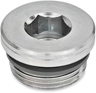Ganter Normelemente GN 749-G1-B 749-G1-B Locking Screws, Silver, Inch Thread d1: G1, Pack of 2