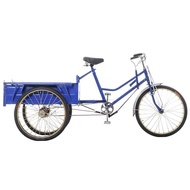 UAG9 Quality goodsJiangnan Goose70cm Carriage for the Elderly Pedal Tricycle Lightweight Small Adult