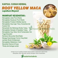 Akar MACA 100 kapsul curah herbal stamina libido kesuburan hormon pria