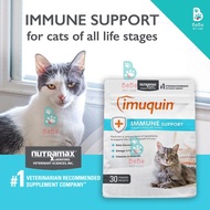 Nutramax Imuquin Powder Supports Immunity Enhancement & Improves Resistance for Cats of All Ages