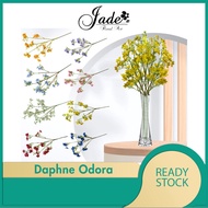 ARTIFICIAL DAPHNE ODORA FLOWER/ BABY BREATH ODORA/ BUNGA HIASAN/ ARTIFICIAL FLOWER/ HOME DECORATION/