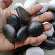 Batu sungai hitam putih | river stone black white polish deco lanskap kubur hiasan taman akuarium