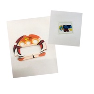 Faceplate + Backlight DW6900 Custom Goku