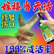 Plant Antifreeze Antifrost [Quick Healing] Fruit Tree Grafting Bonsai Flower Wound Protection Healing Agent