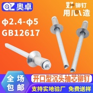 Countersunk Head Countersunk Head All Steel Stainless Steel Open Type Pull Rivet Blind Rivet Rivet S