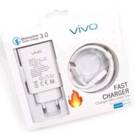 Vivo X30 Fast Charging Qualcomm 3.0 Quick Charge 9V-2A Micro USB & Type C Charger
