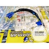 Wire Sub Lead Rxz Caterlyzer 5pv Original