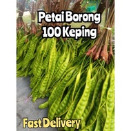 Fast Delivery Petai Borong 100 Keping NO COD‼️NO RETURN‼️