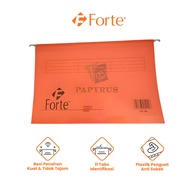HANG MAP FILE SUSPENSION/ HANGING MAP/ FORTE 5003 ORANGE