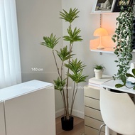 [พร้อมส่ง] Jnihouse : ต้นไม้ประดิษฐ์ Lily Bamboo (Tree)