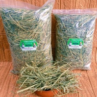 Premium Grade Timothy Grass Sifted Dust Green Fragrant Timothy Hay