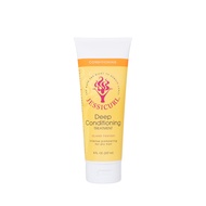 Deep Conditioning Treatment, Island Fantasy, 8 Fl oz. Deep Conditioner for Dry Damaged Hair, great A