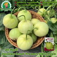 30butir Benih Buah Melon Golden Yelomelo Benih Unggul Buah Melon Golden Hibrida F1 Bibit Super Buah 