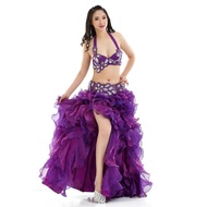Belly Dance Outfit - Performance Costume