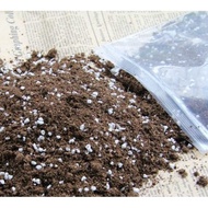Peat Moss (Import) mix Perlite / tanah semaian campuran perlite ( 2 kilo )
