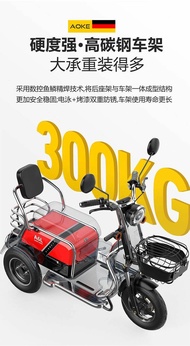 delivery in same ordered day ready stock /pma/comply with sg lta rule mobility 3 wheels  scooter for elderly comes battery 60v 800w 20ah/lta approved