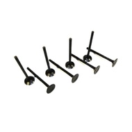 Intake valve, Exhaust valve, Intake and Exhaust valve Kit, a set of 8, for GEELY 08CK-1;CK-1;FC-1;GC