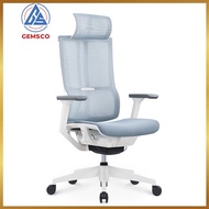Ergonomic Office Chair - Rolling Home Desk Chair with 4D Adjustable Armrest, 3D Lumbar Support and Blade Wheels - Mesh