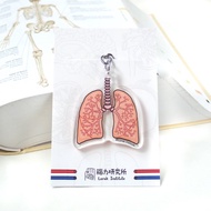 肺部 器官 內臟鎖匙扣  鑰匙圈科學 畢業