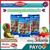 แพ็ค 3 กิโลกรัม WESCO ปุ๋ย 30-20-10 +TE (ธาตุรองเสริม) ปุ๋ยเกล็ด ปุ๋ยเกร็ด เวสโก้ เร่งความสมบูรณ์ของ