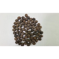 THAMARAI VITHAI | LOTUS SEEDS | NELUMBO NUCIFERA | 50G PACKET LOTUS SEED SNACK