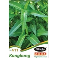 Kangkong vegetable seed/biji benih kangkong/雍菜种子