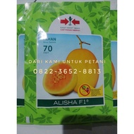 Benih Melon Golden Alisha 400 Butir (',')