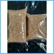 ▬ ✈ ⚾︎ 1kg cat grass seeds (mix barley oat wheat seeds)