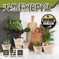 [Zhiren Club] Ready Stock-Macchiato Natural Pull Flower Pottery Pot Modeling Pot Vegetarian Burning 