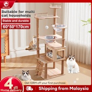 cat climbing frame Cat Tree Integrated Space Capsule Cat Scratch Trees Scratching Cat Teaser