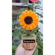 Potted flowers (dawai bulu)