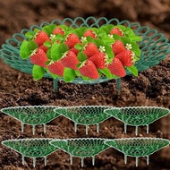 5Pcs Strawberry Supports - with 3 Sturdy Support Feet - Prevent Strawberry Rot - Greenhouse Tool - F