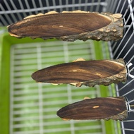 Sichuan Pepper Wood Budgerigar Bird Jumping Platform Peony Parrot Platform Hamster Chinchilla Squirr