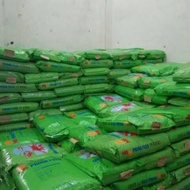 pelet pellet PF ikan benih bibit murah lele 1000 PF1000 1karung pakan