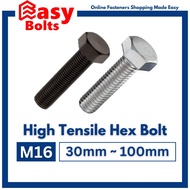 HT 8.8 Hex Bolt - M16 x 30mm ~ 100mm (Coarse Thread Pitch 2.0mm) (High Tensile Grade 8.8 Hexagon Scr