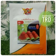 Paket 100 Biji FIN Phayak Biji Benih Tembikai Madu Merah F1 Hybrid Watermelon Seeds Thepmongkol Seed