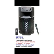 Ricson speaker r1202